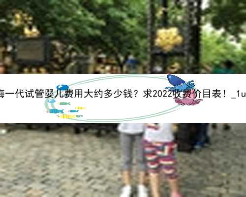 上海一代试管婴儿费用大约多少钱？求2022收费价目表！_1u70i